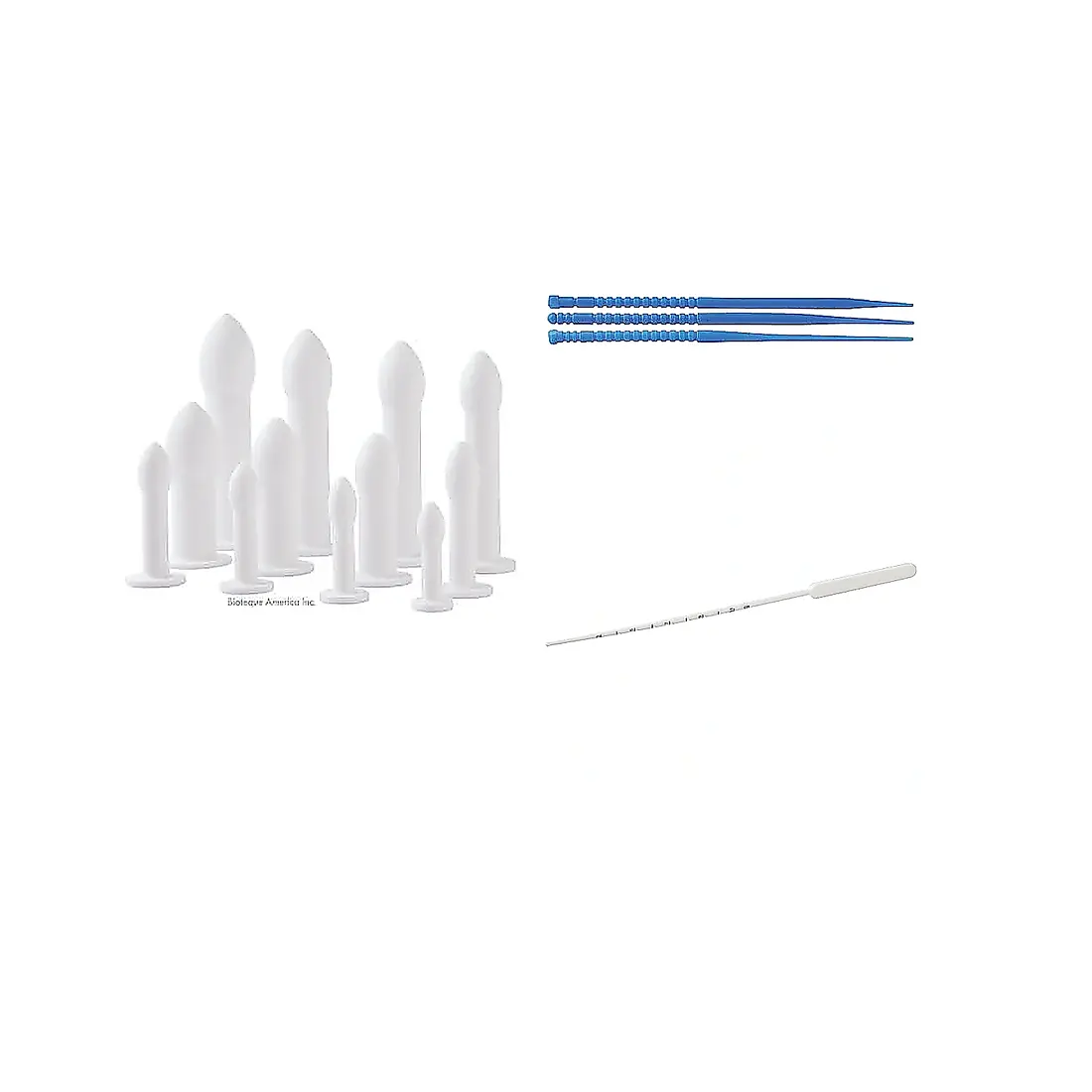 Vaginal & Cervical Dilators